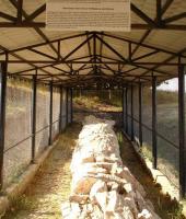 Απολιθωμένο δάσος - Σουφλίου