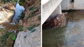 Μήπως χρειάζεται μια λεπτομερής αυτοψία στο ρέμα Βανικιώτη;