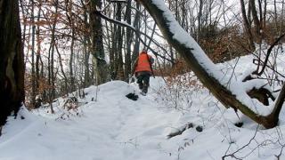Απαγορεύτηκε το κυνήγι από τα Δασαρχεία Διδυμοτείχου και Σουφλίου