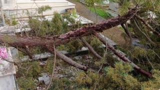 Καταστροφές προκλήθηκαν στο νεκροταφείο Σουφλίου