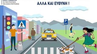 Οι υποχρεώσεις όσων έχουν σκύλο συντροφιάς, αλλά και για τα αδέσποτα