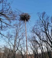 Τεχνητές φωλιές για τα πτηνά στο Δάσος της Δαδιάς.