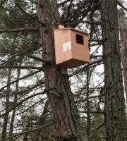 Τεχνητές φωλιές για τα πτηνά στο Δάσος της Δαδιάς.