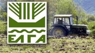 ΕΛΓΑ: Καταβολή αποζημιώσεων 8 εκ. ευρώ σε αγρότες.