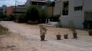 Εδώ στην Αλεξανδρούπολη κλείνουμε τους δρόμους με... γλάστρες!