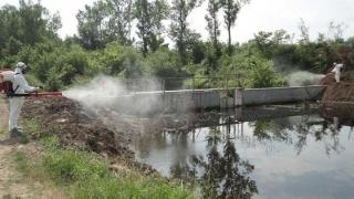 Π.Ε. Έβρου: Νέος κύκλος ψεκασμών κατά των κουνουπιών