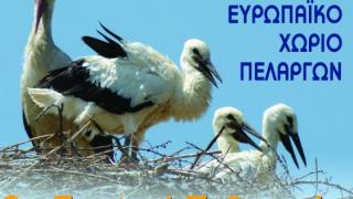 Με νέα ημερομηνία το 2ο Φεστιβάλ Πελαργών στον Πόρο Φερών