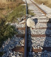 Αλεξανδρούπολη: Δολιοφθορά με στόχο τον εκτροχιασμό του τρένου ή απλή ανοησία; (φωτο)