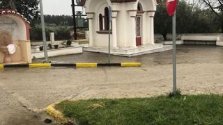 Ακόμη ένα αδέσποτο θύμα φόλας στα Δίκελλα Αλεξανδρούπολης 