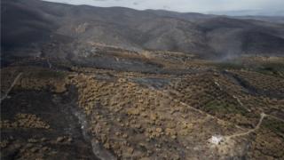 Αυτή είναι η Επιτροπή για την κατάρτιση Ειδικού Αναπτυξιακού Προγράμματος για τον Έβρο