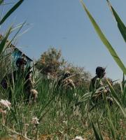 Με εντυπωσιακό τρόπο πραγματοποιήθηκε και  ολοκληρώθηκε η άσκηση "ΚΑΤΑΙΓΙΣ 2017" στην Αλεξανδρούπολη