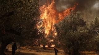 Πυρκαγιά ξέσπασε κοντά σε κατοικίες στην Αλεξανδρούπολη (video)