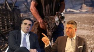 Παρέμβαση Τοψίδη στον Υπουργό Αγροτικής Ανάπτυξης για τους κτηνοτρόφους της ΑΜΘ
