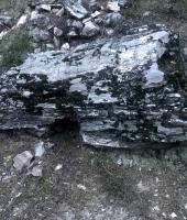 Απολιθωμένο δάσος - Σουφλίου