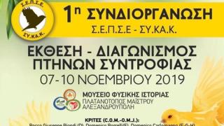 Έκθεση Πτηνών Συντροφιάς στο Μουσείο Φυσικής Ιστορίας στον Πλατανότοπο Μαΐστρου