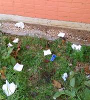 Σε σκουπιδότοπο μετατράπηκε το πάρκινγκ του Δημοτικού Camping Αλεξ/πολης (φωτογραφίες)