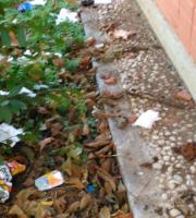 Σε σκουπιδότοπο μετατράπηκε το πάρκινγκ του Δημοτικού Camping Αλεξ/πολης (φωτογραφίες)