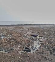 Σε κατάσταση πλήρους εγκατάλειψης η παραλία Απαλού (φώτο)