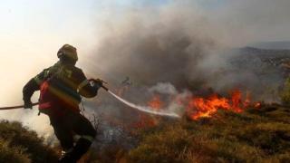 Πυρκαγιά σε πλοίο & σε μεγάλη δασική έκταση τα σενάρια άσκησης της Π.Υ Αλεξανδρούπολης
