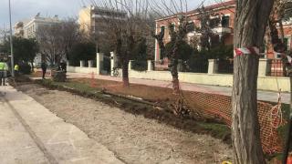 Η Ανεξάρτητη Κοινότητα "Φάρος" ανοίγει  το "μαύρο κουτί" του πρασίνου της Αλεξανδρούπολης