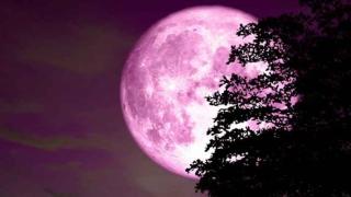 Η πρώτη "Ροζ πανσέληνος" της χρονιάς: Σήμερα το εντυπωσιακό φαινόμενο!
