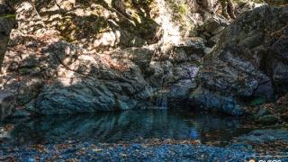 Samothraki Open Forum: Η Σαμοθράκη πρωτοστατεί στην Αειφορία
