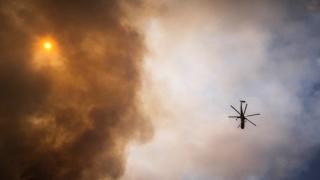 215 πυρκαγιές εκδηλώθηκαν φέτος στον Έβρο