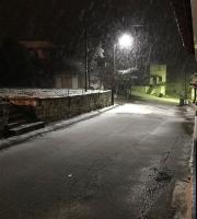 Παλιούρι: Πηγή φωτογραφίας Ορέστης Ορεστιαδίτης