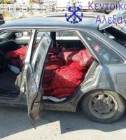 Αλεξανδρούπολη: Συνεχίζονται οι κατασχέσεις ακατάλληλων οστράκων (φωτο)