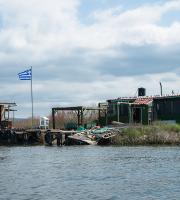 Γέμισε γαλανόλευκες σημαίες το Αινήσιο Δέλτα στον Έβρο 