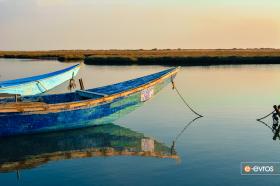 Delta of Evros