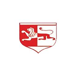 THE BRITISH SCHOOL - Foreign English Center