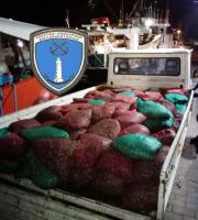 Σχεδόν δύο τόνοι ακατάλληλα όστρακα κατασχέθηκαν στην Αλεξανδρούπολη - Συνελήφθη 37χρονος (φώτο)