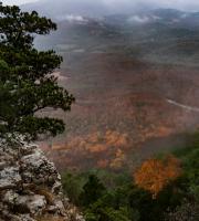 Εξορμήσεις στη φύση παρέα με τους "Πεζοπόρους Αλεξανδρούπολης"