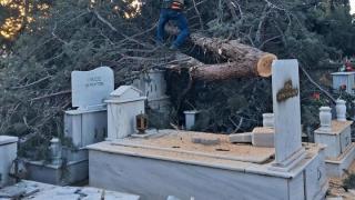 Αποκαταστάθηκαν τα νεκροταφεία της Αλεξανδρούπολης, μετά τις ζημιές από τη θύελλα