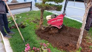 Απάντησε σε "πέντε ψέματα" ο Δήμος Αλεξανδρούπολης για τον διαγωνισμό πρασίνου