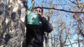 Η αναγέννηση του δάσους της Δαδιάς μέσα από τα φτερά των μικρόπουλων