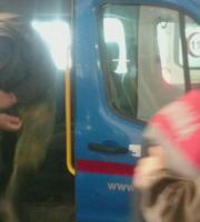 Στιγμιότυπο από τα δικαστήρια της Ανδριανούπολης κατά την προσαγωγή των Ελλήνων