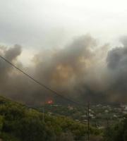 Εθνικό πένθος: ξεπέρασαν τους 80 οι νεκροί από τις πυρκαγιές στην Αττική 