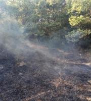 Έρευνα για εμπρησμούς στις Φέρες: «Όποιος το κάνει, να σταματήσει αμέσως!»