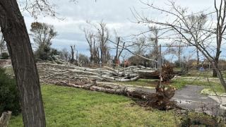 Ξεκίνησε η καταγραφή των ζημιών στην Αλεξανδρούπολη - Πρωτοφανείς καταστροφές σε πολλά σημεία της πόλης (video)