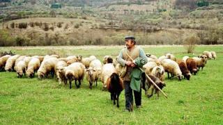 Παράταση πληρωμής των οφειλών των κτηνοτρόφων 