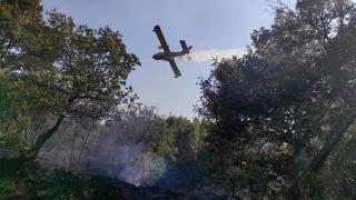Υπουργείο Πολιτικής Προστασίας: Παράταση στην υποβολή δηλώσεων για τον καθαρισμό των οικοπέδων