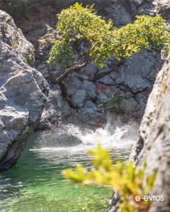 A dip in the rock pools of Samothrace