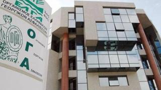 Πότε θα δοθούν το επίδομα τέκνων του ΟΓΑ και τα πολυτεκνικά επιδόματα.