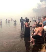 Εθνικό πένθος: ξεπέρασαν τους 80 οι νεκροί από τις πυρκαγιές στην Αττική 