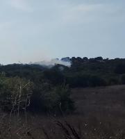 Έρευνα για εμπρησμούς στις Φέρες: «Όποιος το κάνει, να σταματήσει αμέσως!»