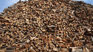 Έβρος: Αλλαγές στην πώληση των καυσόξυλων επιβάλλει νέα διάταξη.