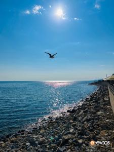 Sun, sea, and Alexandroupoli