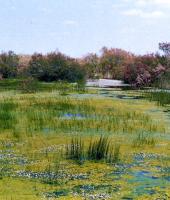 Δέλτα του Ποταμού Έβρου